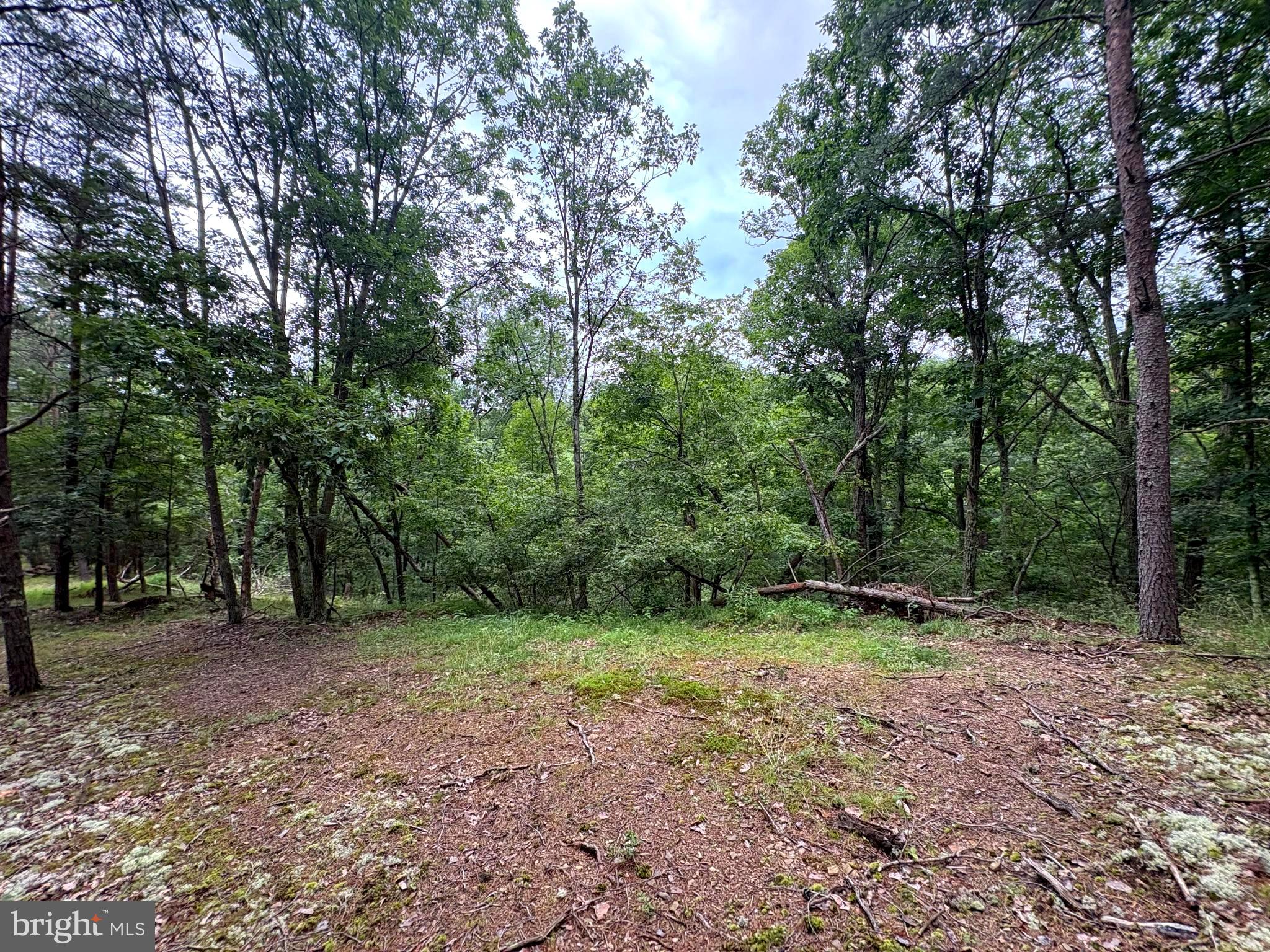 Lot 126 Bluffs Blue Beach Road Springfield, WV 26763 - Photo 4 of 20