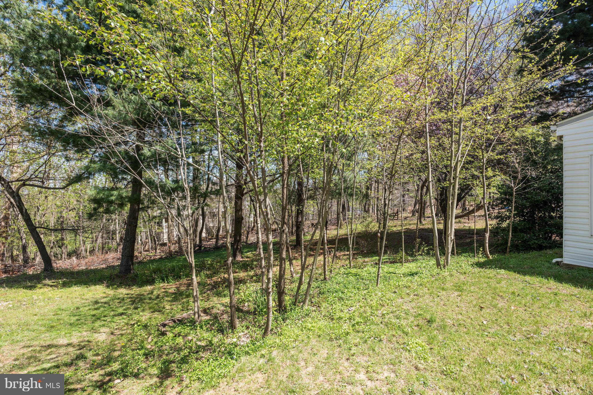 5521 Waterloo Road Ellicott City, MD 21043 - Photo 29 of 30 a garden view with a trees