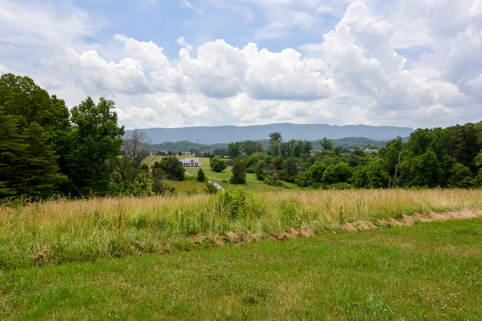 3737 Baker Ridge Way Maryville, TN 37803 - Photo 9 of 40 DSC_0787