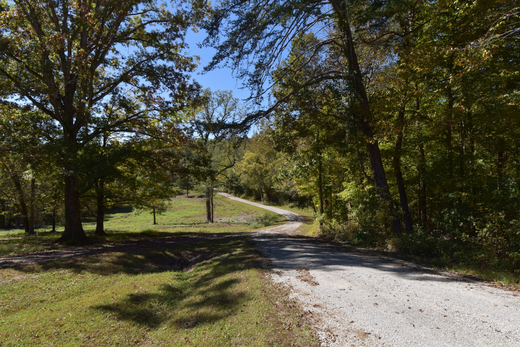 167 Tom Knight Road Decaturville, TN 38329 - Photo 22 of 50 Gallery Image 22