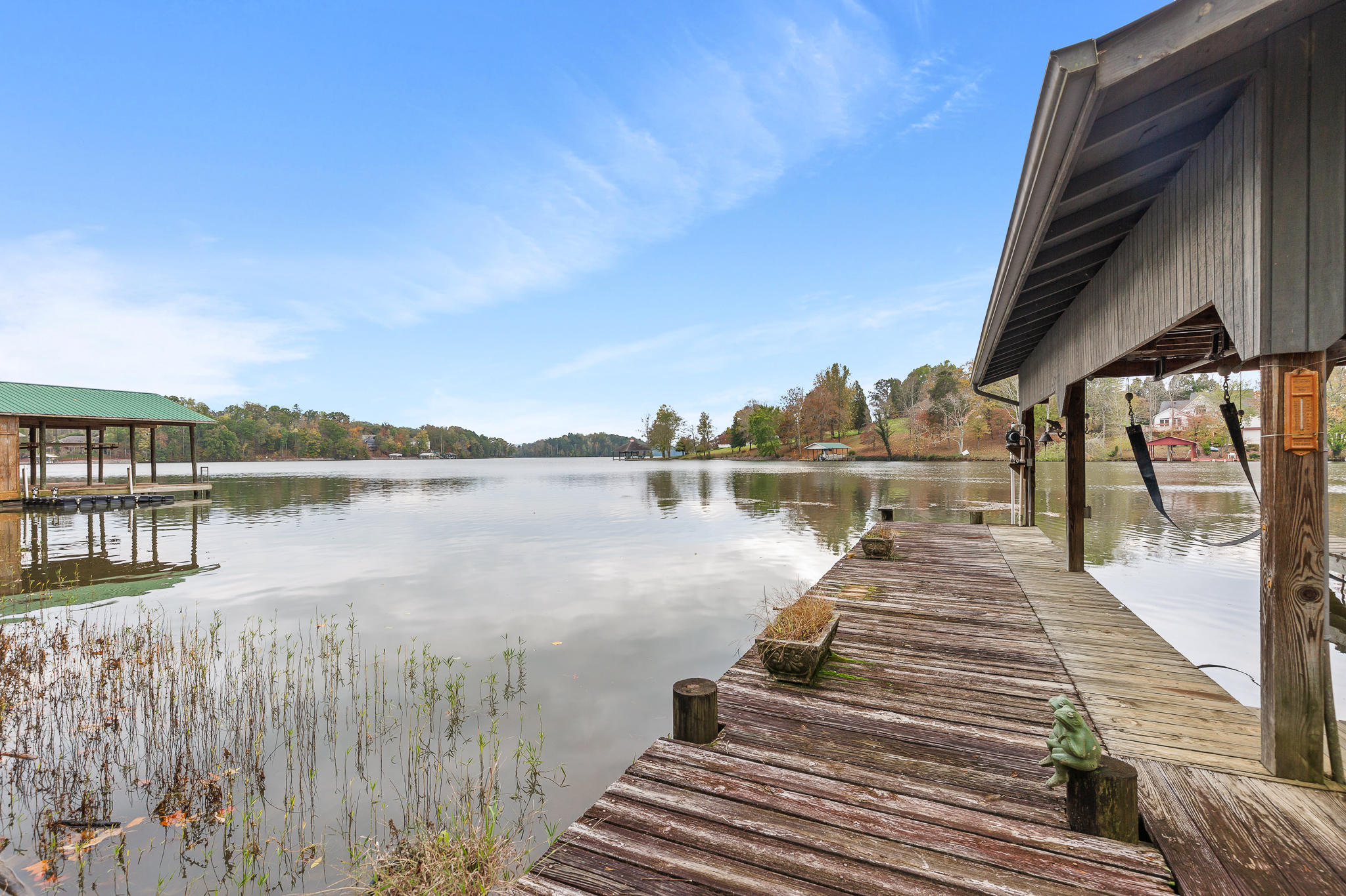 871 Toestring Cove Rd Spring Spring City, TN 37381 - Photo 41 of 46 Toestring-48