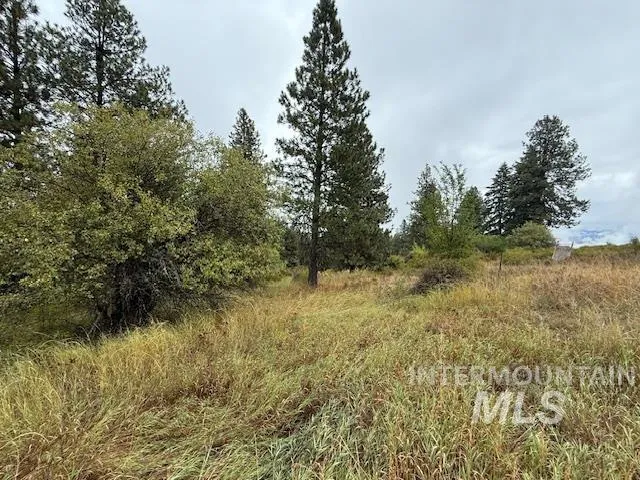 $479,000 | 207 Mule Deer Drive, Kamiah, ID 83536