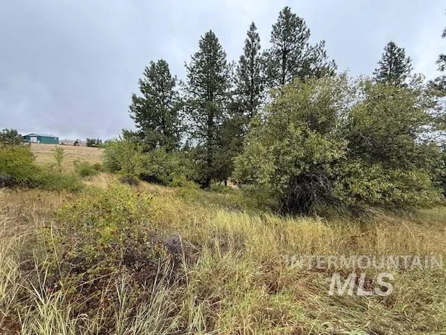 $479,000 | 207 Mule Deer Drive, Kamiah, ID 83536