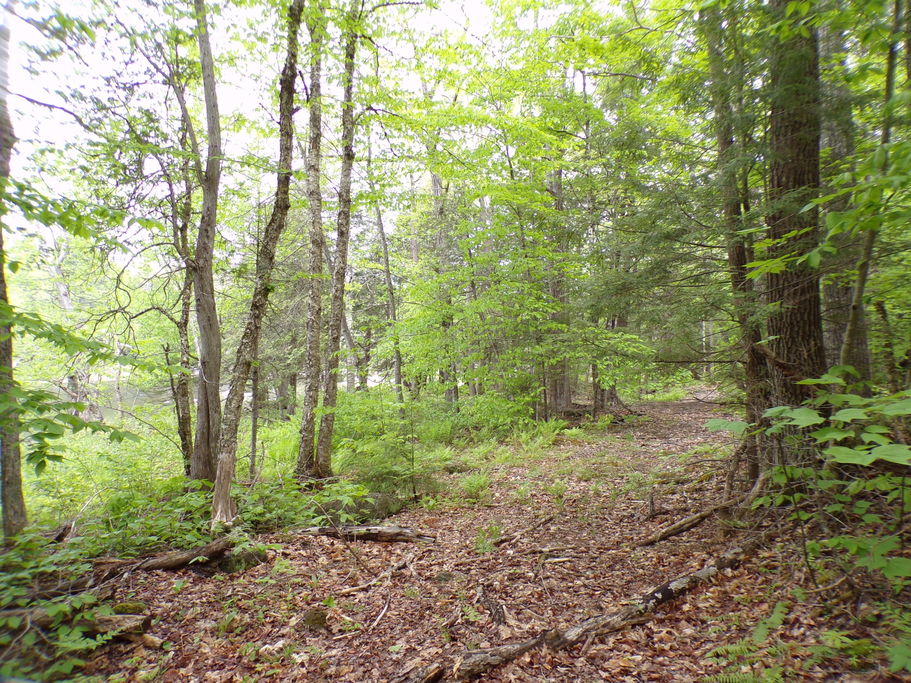 0 Town Farm Road Sebec, ME 04481 - Photo 9 of 15 101_0086