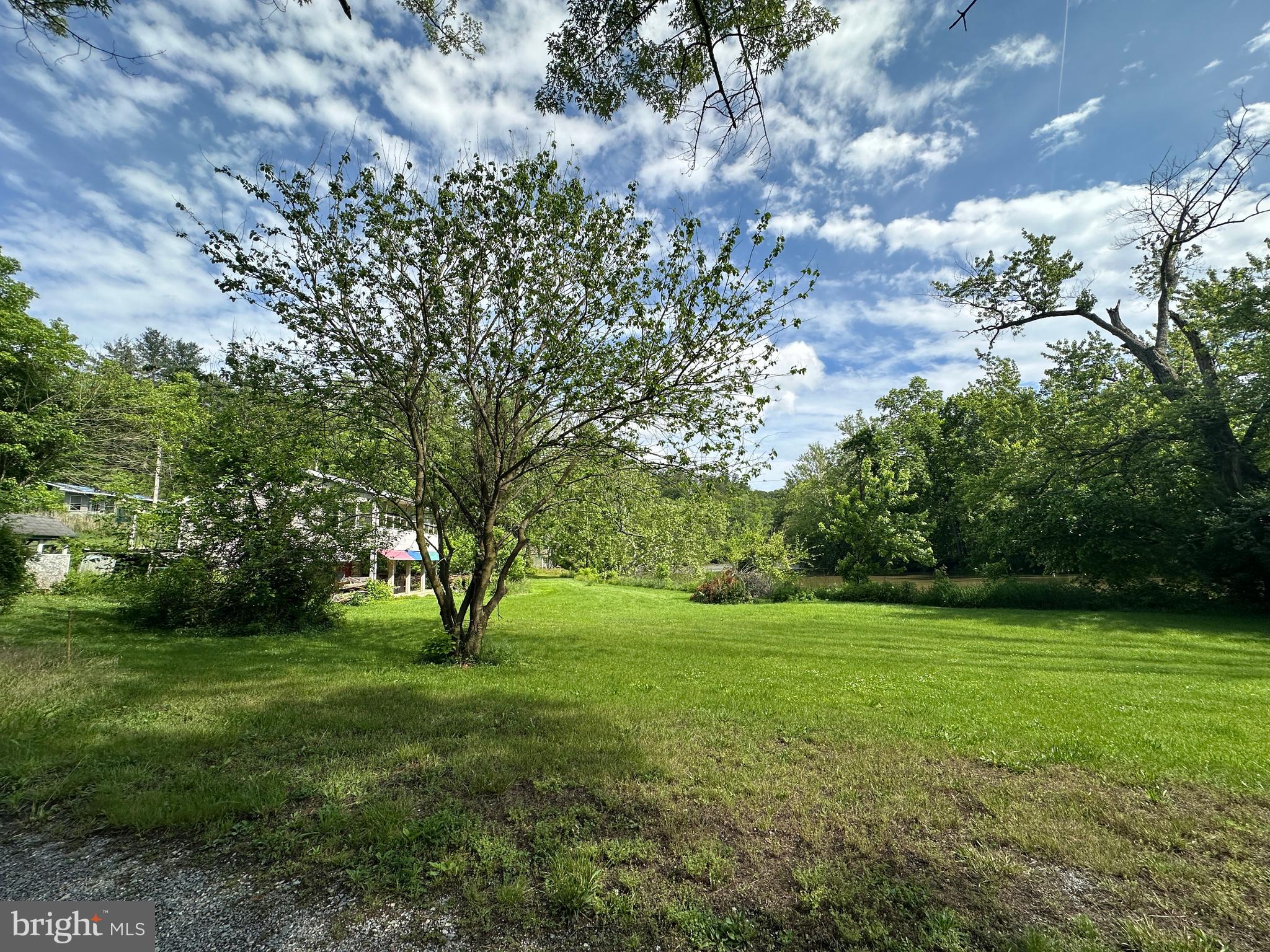 13726 Hopps Landing Road Hagerstown, MD 21740 - Photo 53 of 71 a view of a trees with a big yard