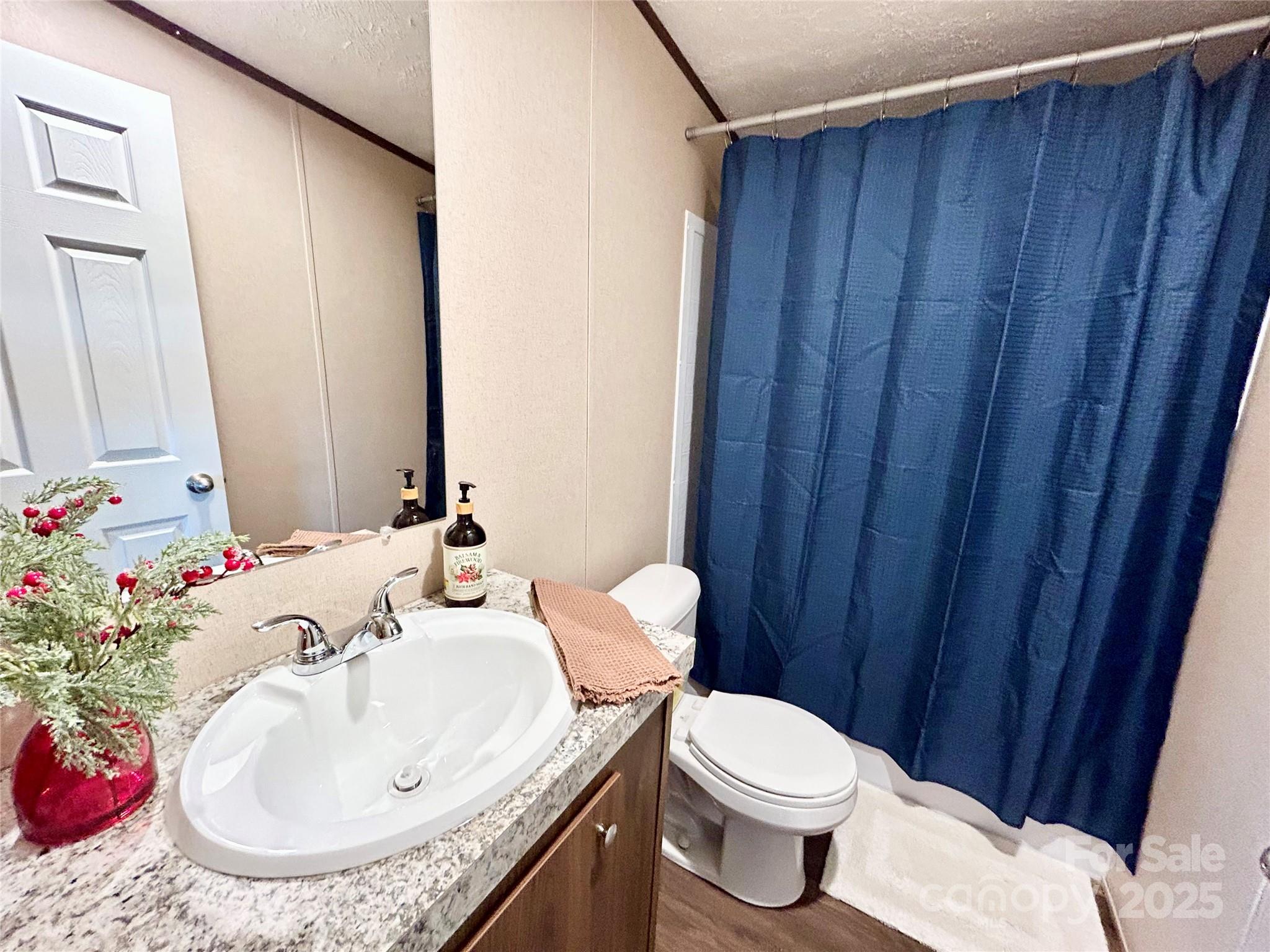 3336 Cliffside Road Mooresboro, NC 28114 - Photo 16 of 29 a bathroom with a sink and toilet