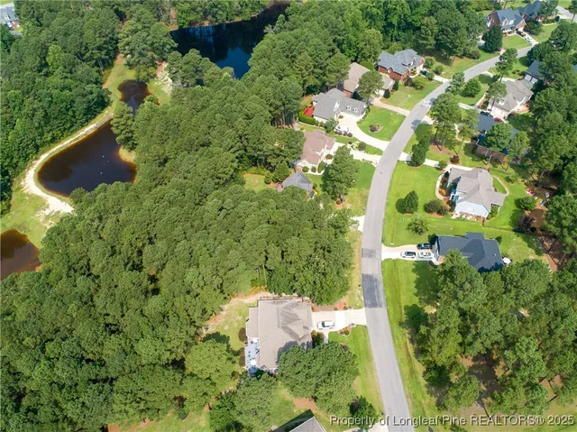 a picture of flowers