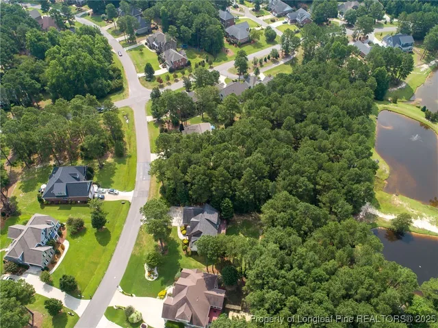a view of a garden with plants