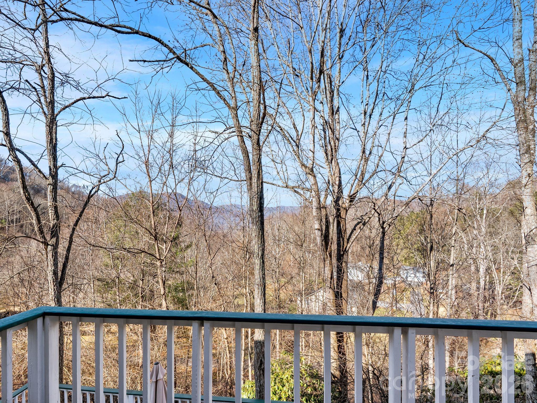 53 Hackberry Lane Waynesville, NC 28785 - Photo 4 of 40 a view of a balcony with trees