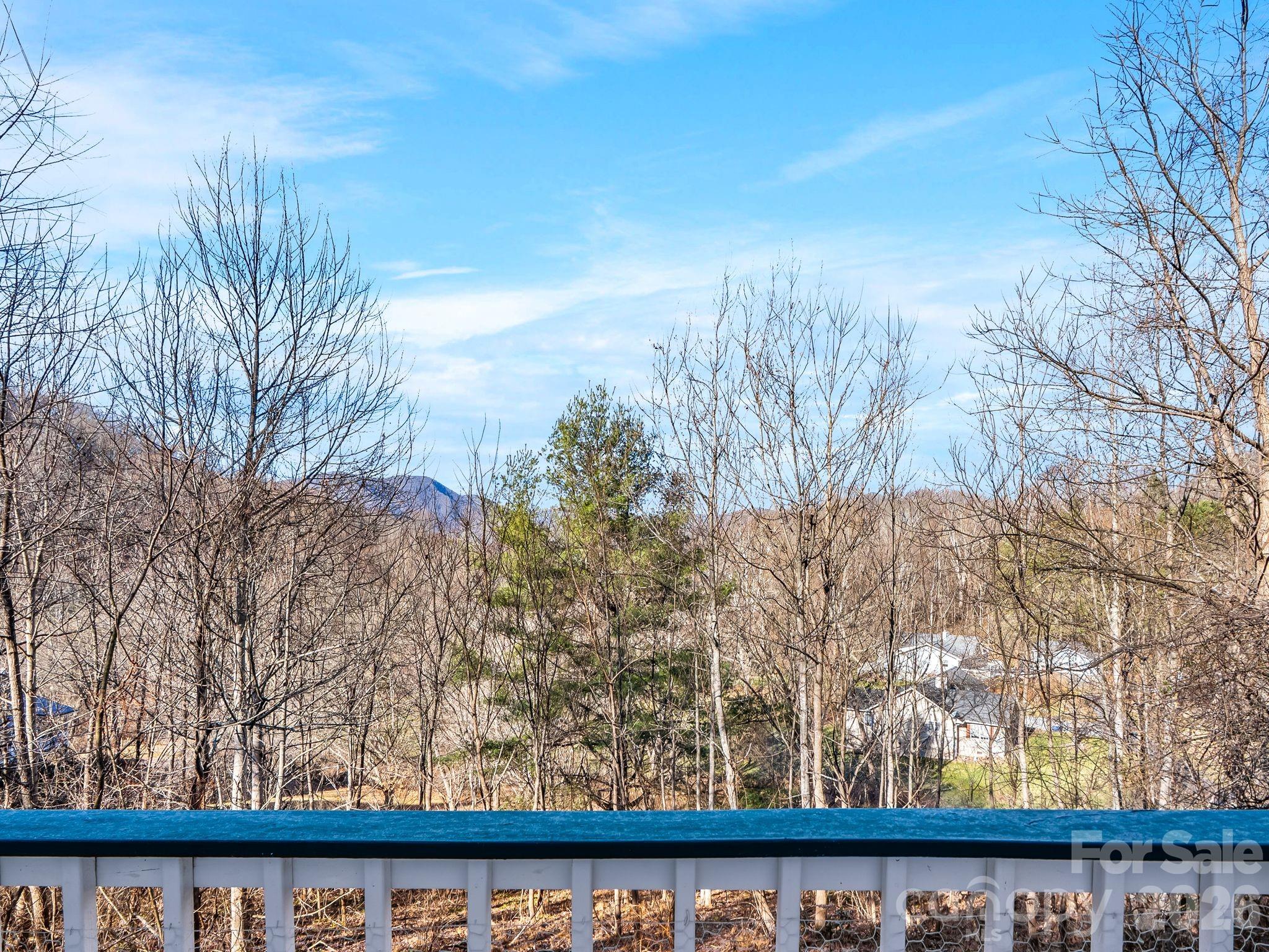 53 Hackberry Lane Waynesville, NC 28785 - Photo 6 of 40 a view of a green field with trees in the background
