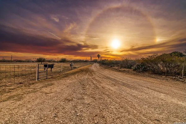 a view of a dry yard with wooden fence