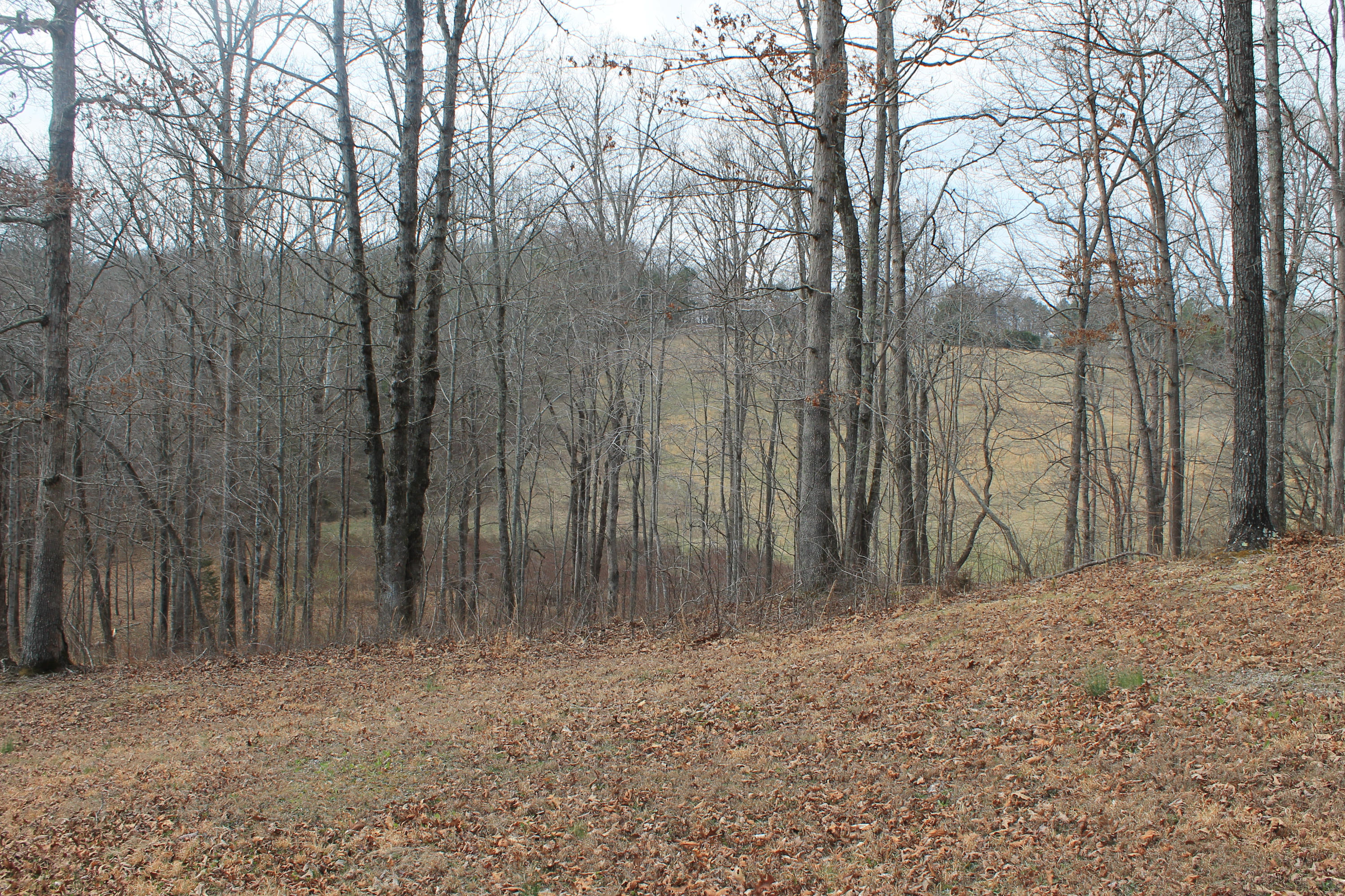 Oldholderford Road Kingston, TN 37763 - Photo 3 of 11 IMG_1601
