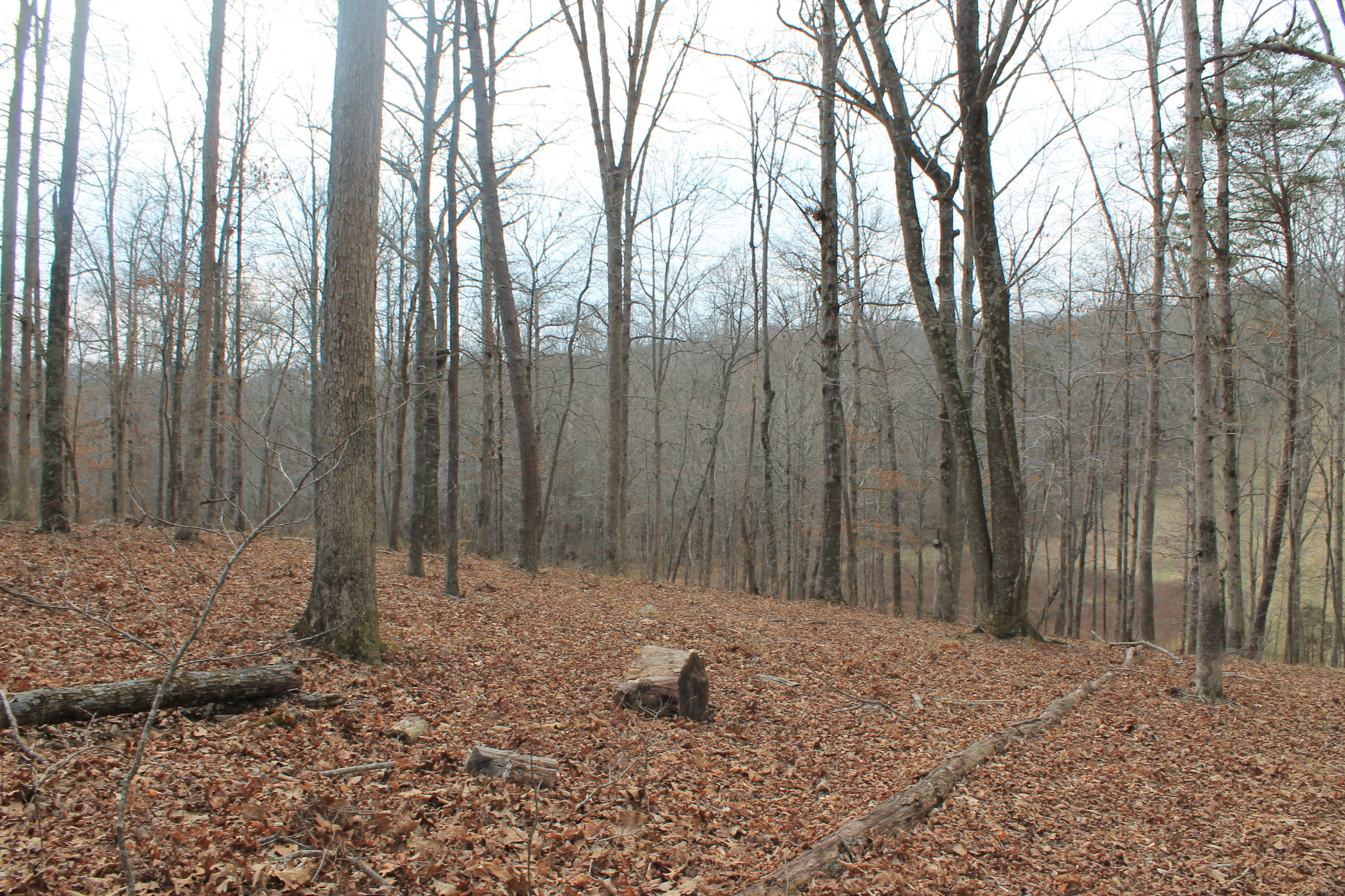 Oldholderford Road Kingston, TN 37763 - Photo 7 of 11 IMG_1607