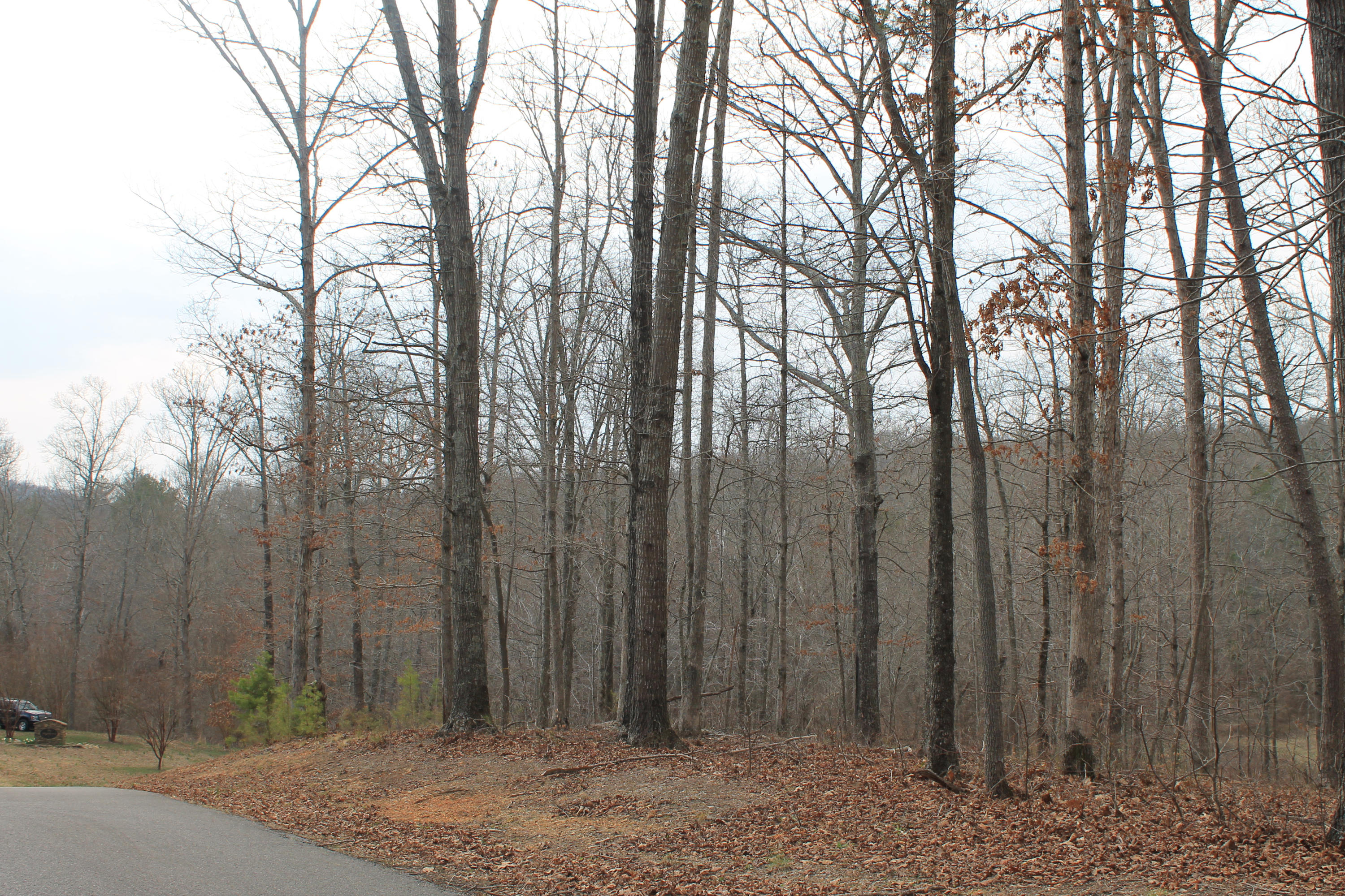Oldholderford Road Kingston, TN 37763 - Photo 9 of 11 IMG_1611