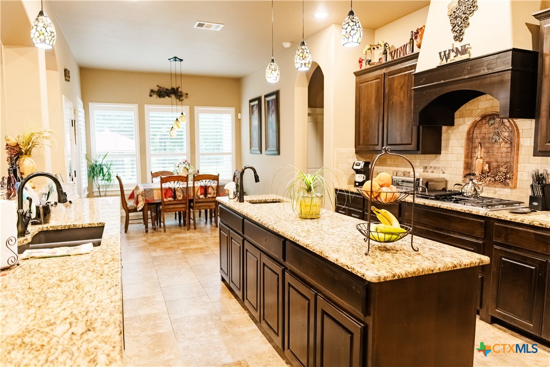 1105 Bella Risa Drive Georgetown, TX 78633 - Photo 12 of 29