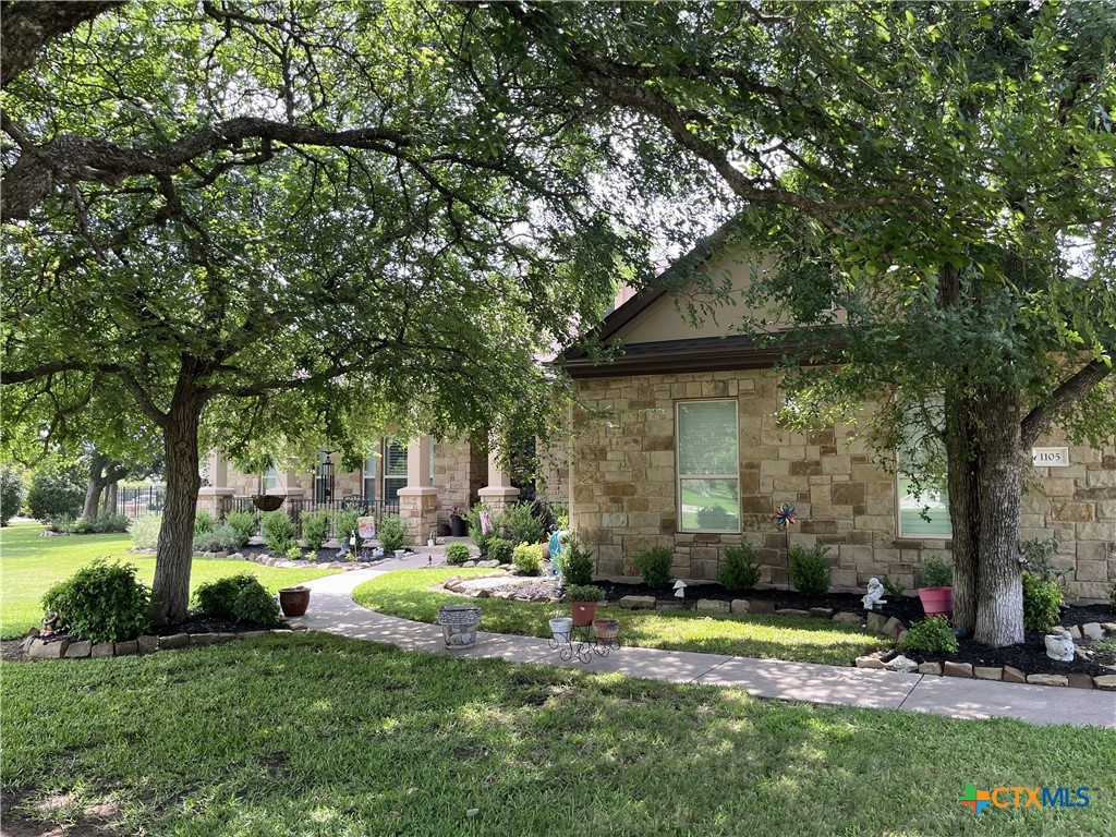 1105 Bella Risa Drive Georgetown, TX 78633 - Photo 4 of 29