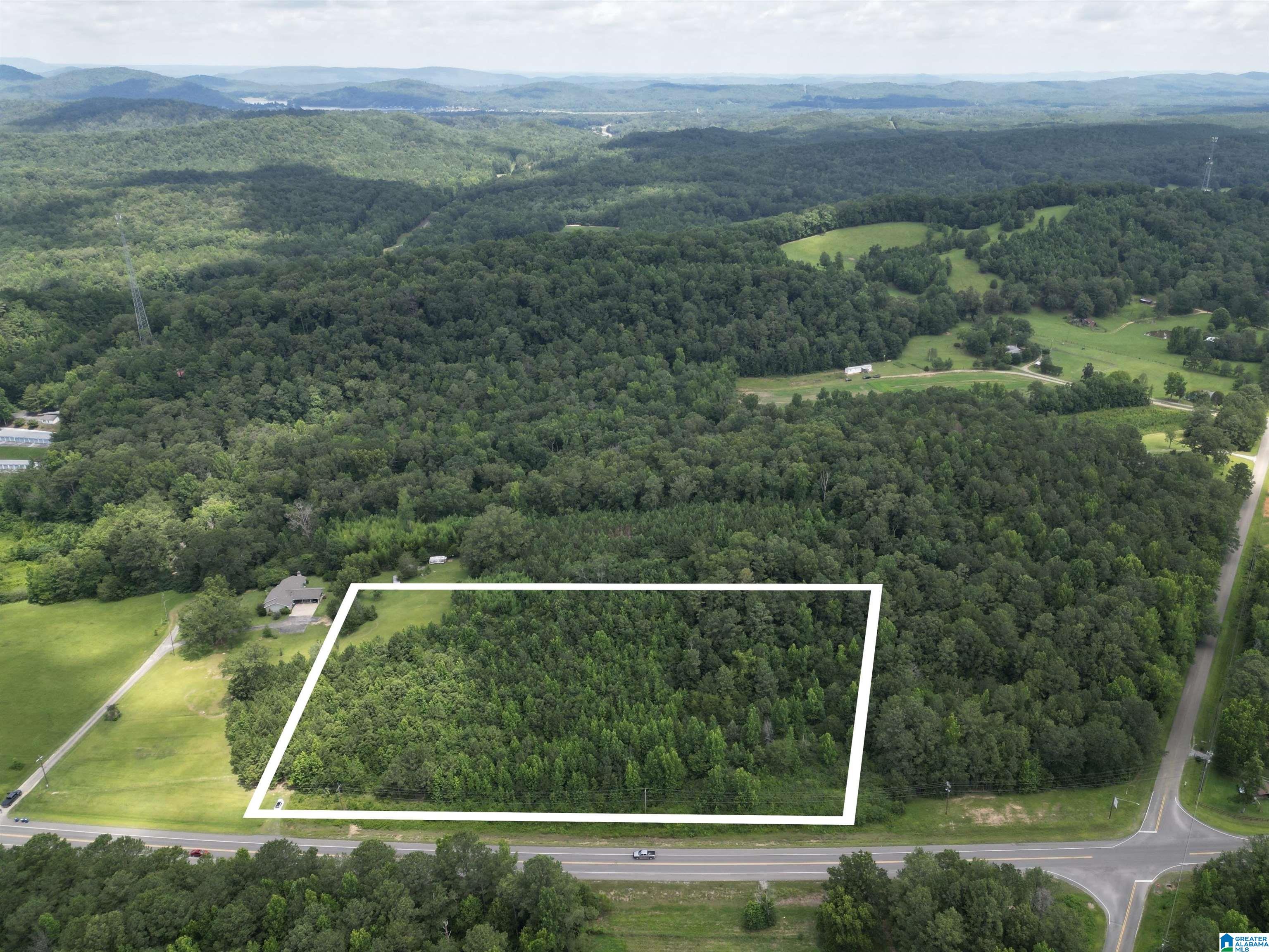 0 Highway 144, Unit 1 Ohatchee, AL 36271 - Photo 2 of 11
