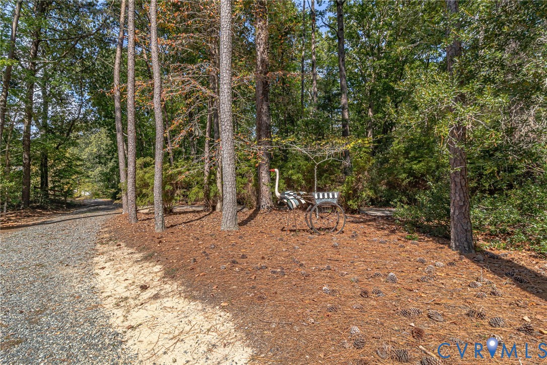 578 High Point Trail Heathsville, VA 22473 - Photo 36 of 50 a view of backyard with trees