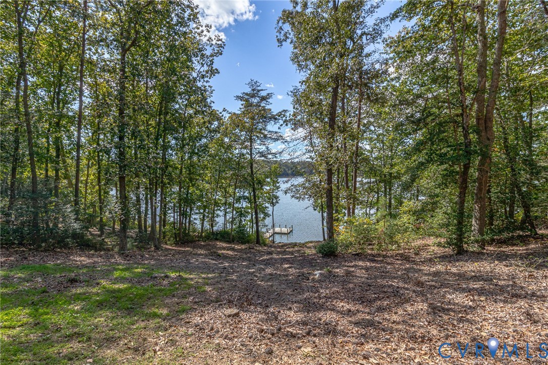 578 High Point Trail Heathsville, VA 22473 - Photo 48 of 50 a view of a yard with a tree