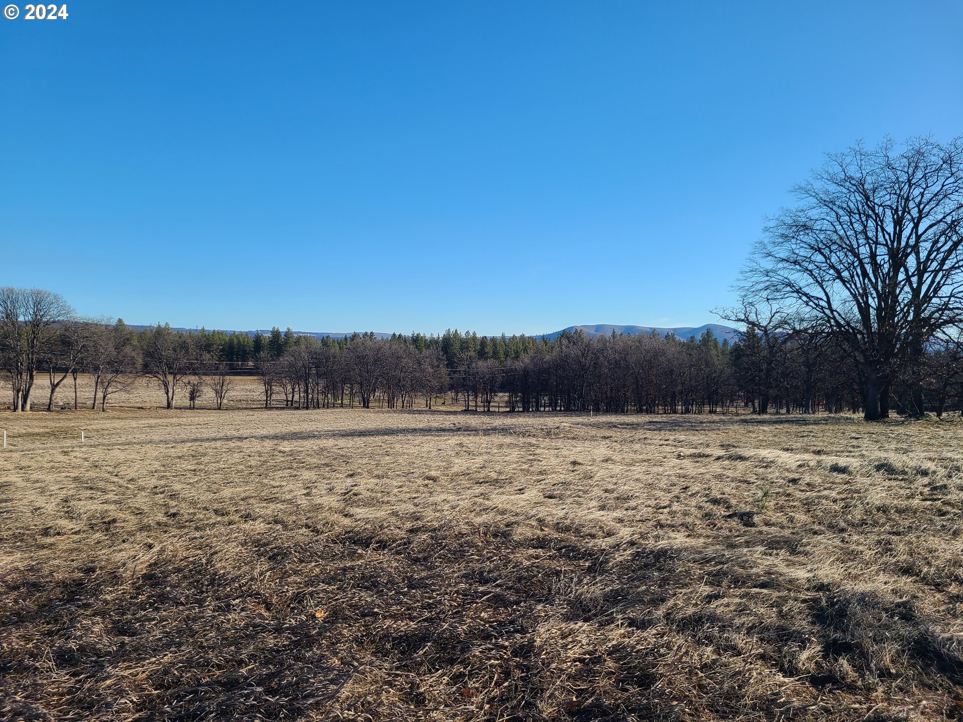 F A Morrow Road Tygh Valley, OR 97063 - Photo 4 of 11 Gallery Image 4