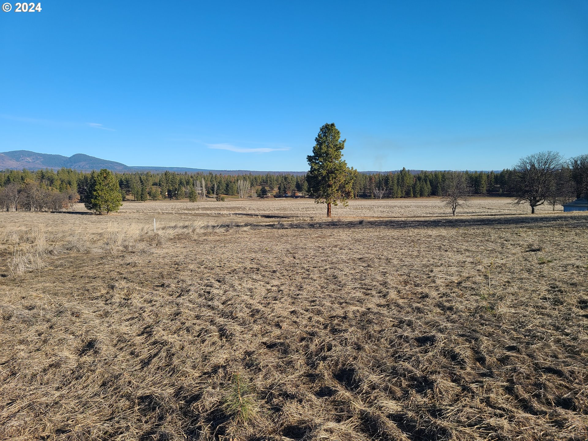F A Morrow Road Tygh Valley, OR 97063 - Photo 5 of 11 Gallery Image 5