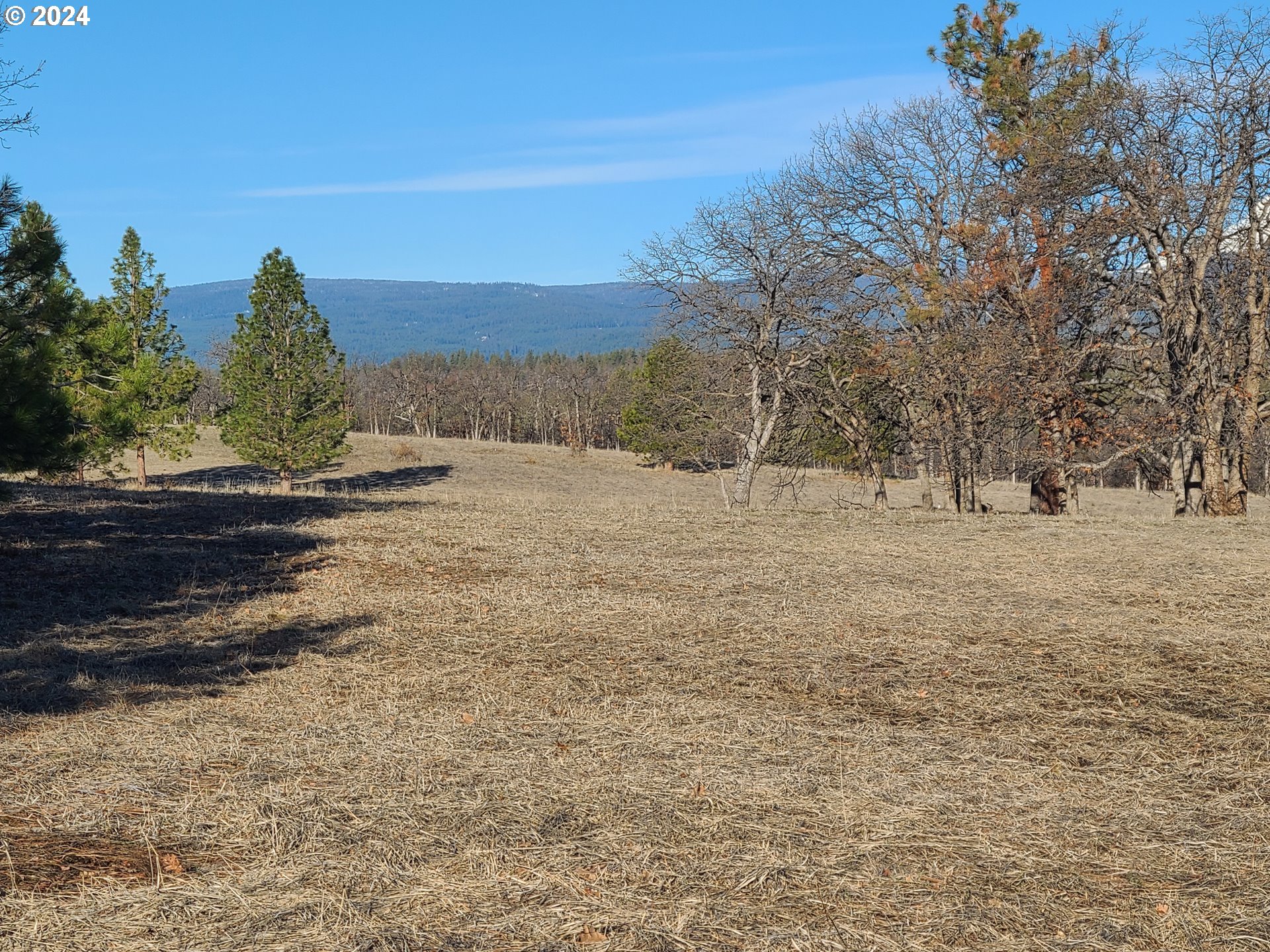 F A Morrow Road Tygh Valley, OR 97063 - Photo 8 of 11 Gallery Image 8