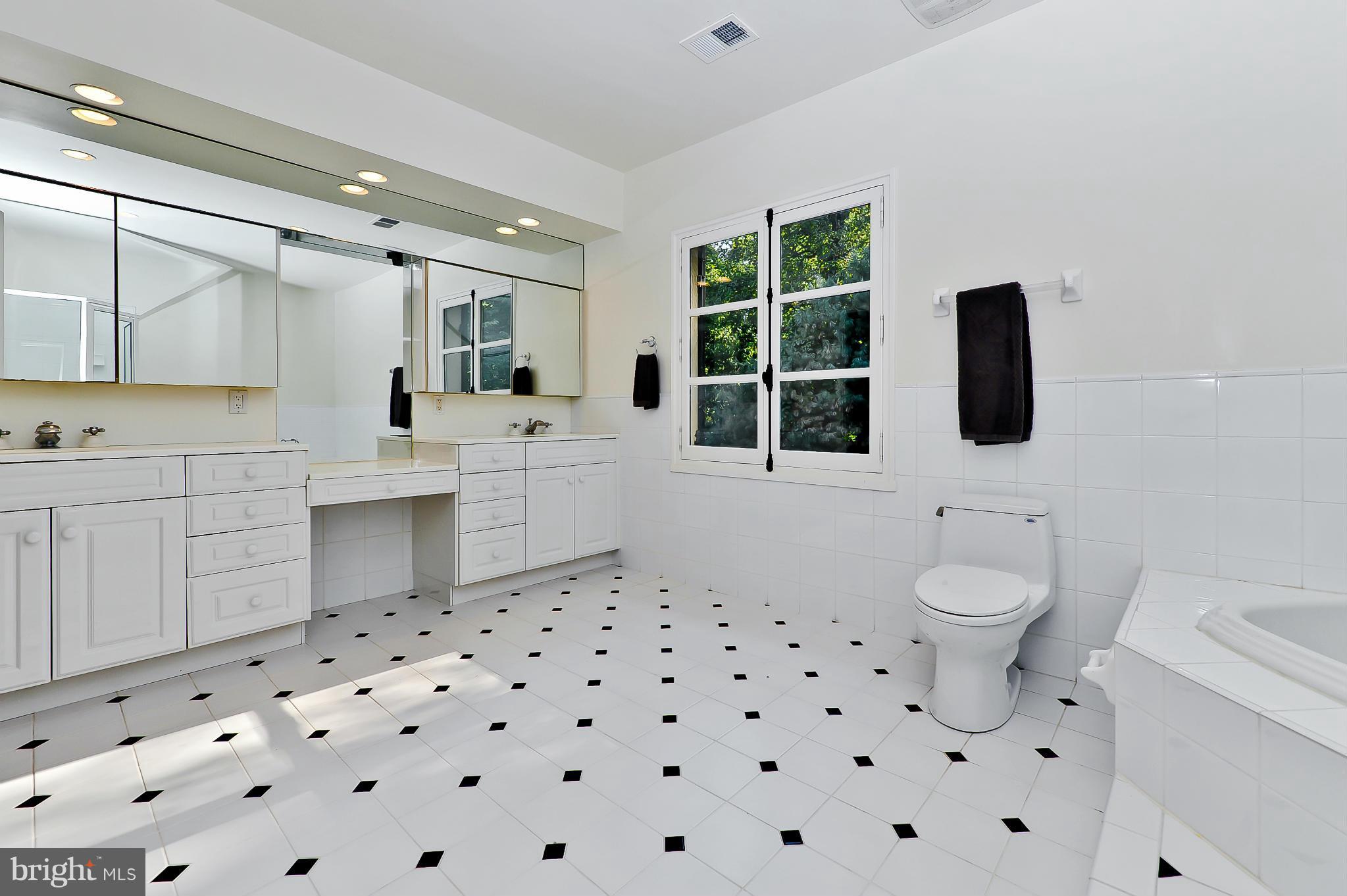 7608 Southdown Road Alexandria, VA 22308 - Photo 23 of 30 a bathroom with a sink a toilet and a shower