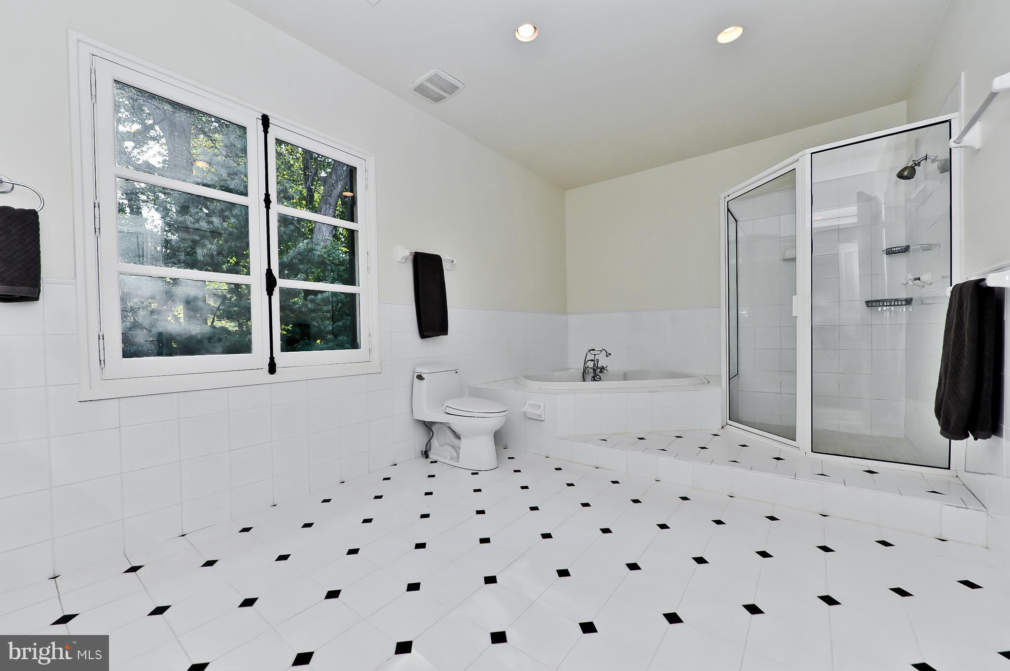 7608 Southdown Road Alexandria, VA 22308 - Photo 24 of 30 a bathroom with a sink toilet and shower