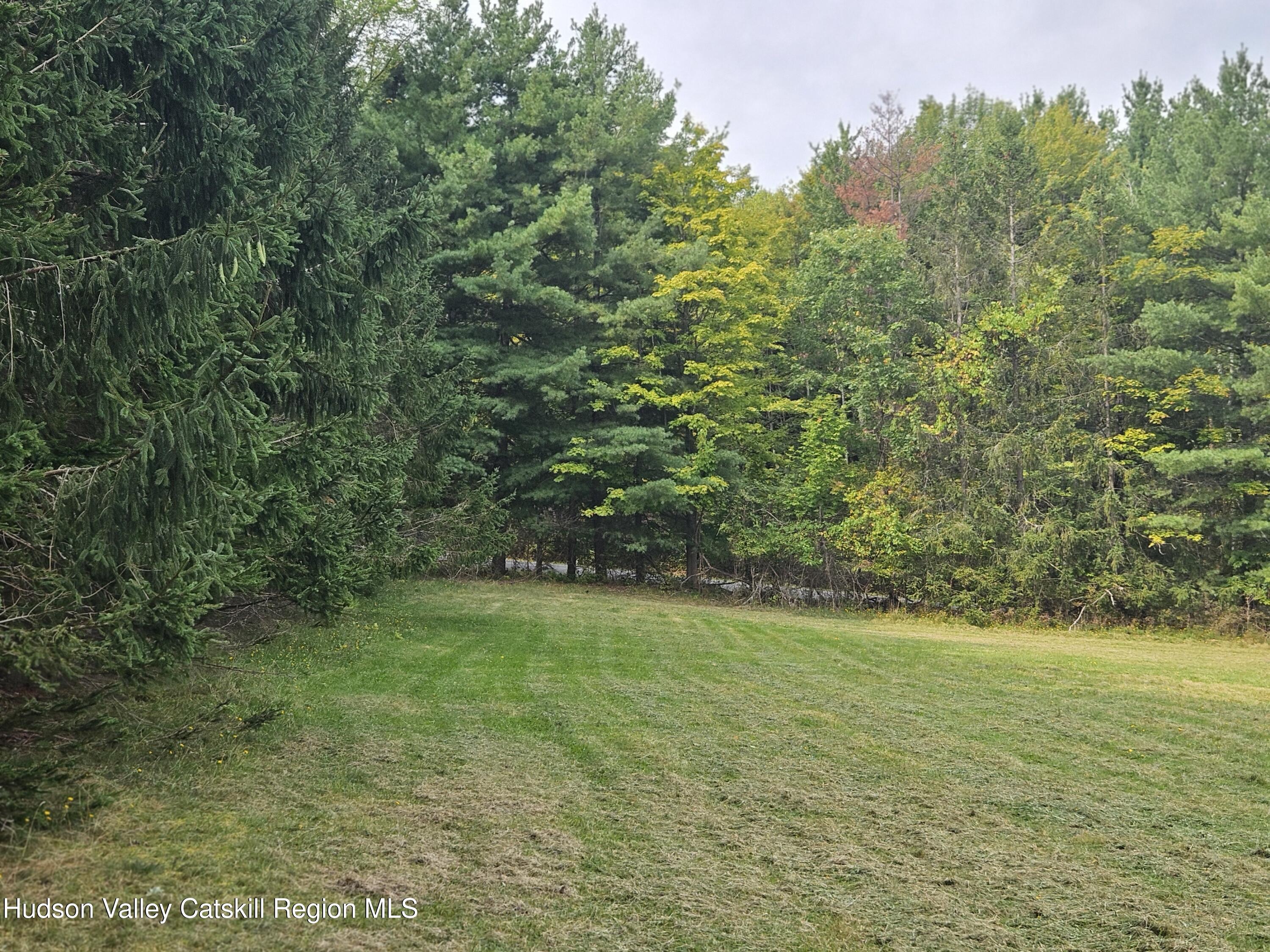 20 Reich Road Cornwallville, NY 12418 - Photo 47 of 53 Spacious Land