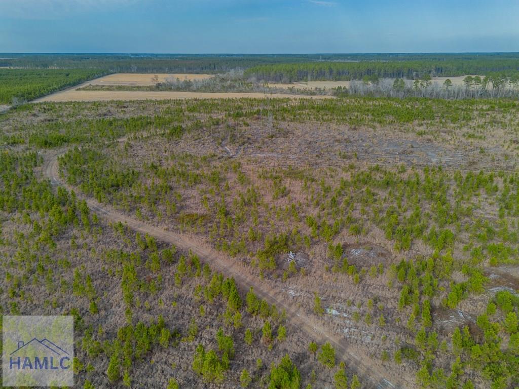 3 Reddish Road Screven, GA 31560 - Photo 25 of 55 Gallery Image 25