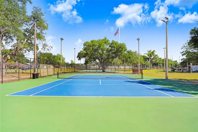 a view of a basket ball ground