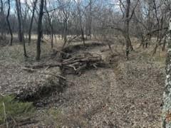 1350 Range Road Redfield, KS 66769 - Photo 3 of 10