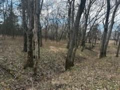 1350 Range Road Redfield, KS 66769 - Photo 4 of 10
