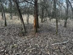 1350 Range Road Redfield, KS 66769 - Photo 5 of 10