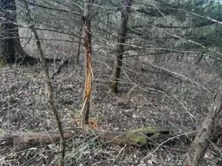 1350 Range Road Redfield, KS 66769 - Photo 10 of 10