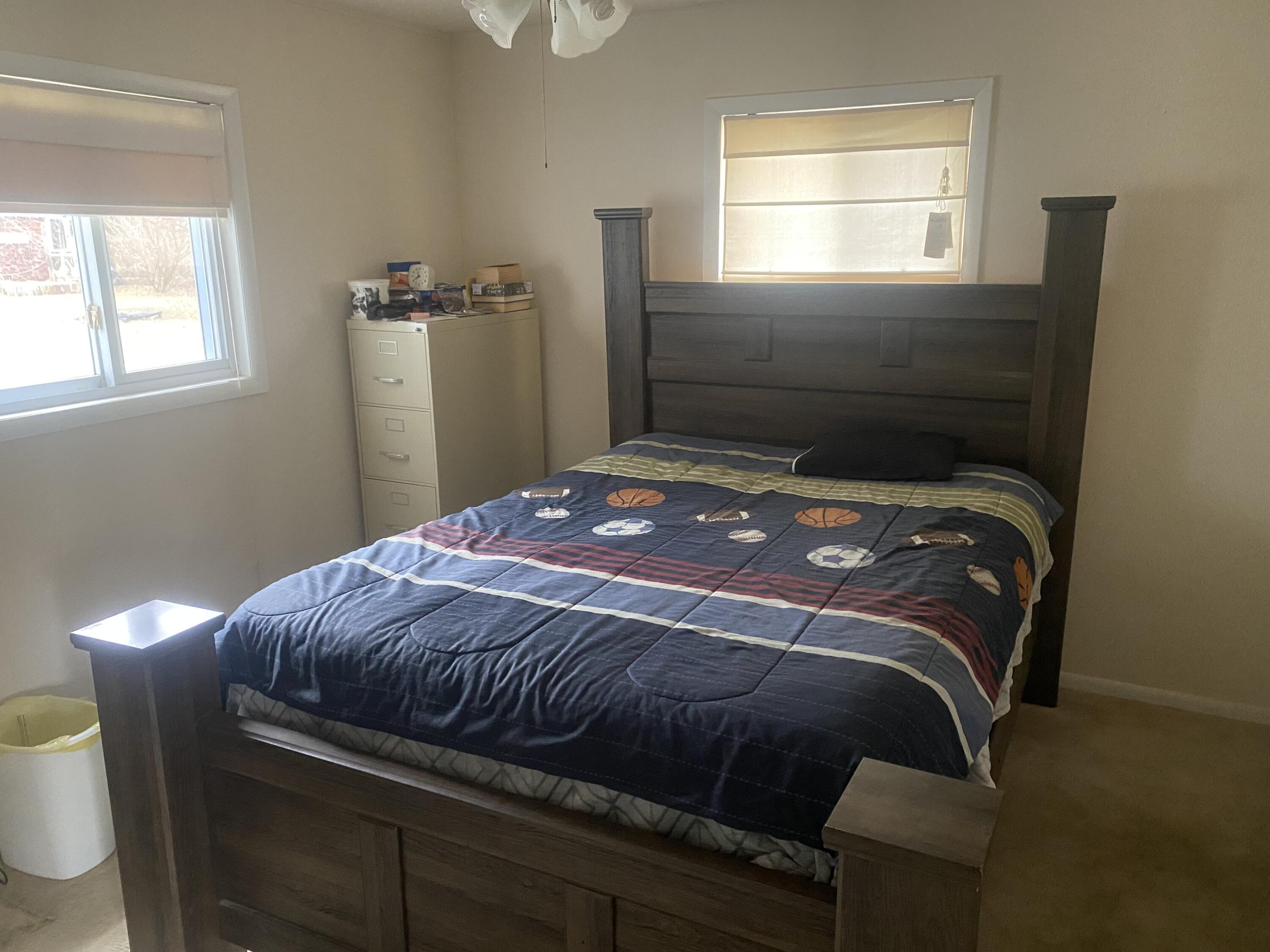 221 Rasmussen Drive Trufant, MI 49347 - Photo 9 of 11 IMG_5249