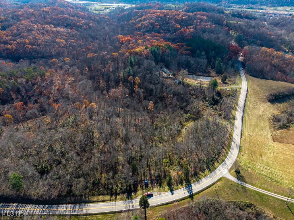0 State Route 530 Lowell, OH 45744 - Photo 2 of 22