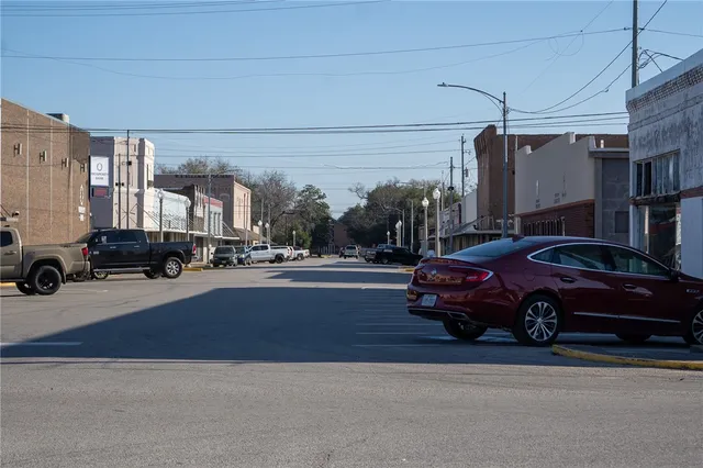 a view of a big yard with large trees