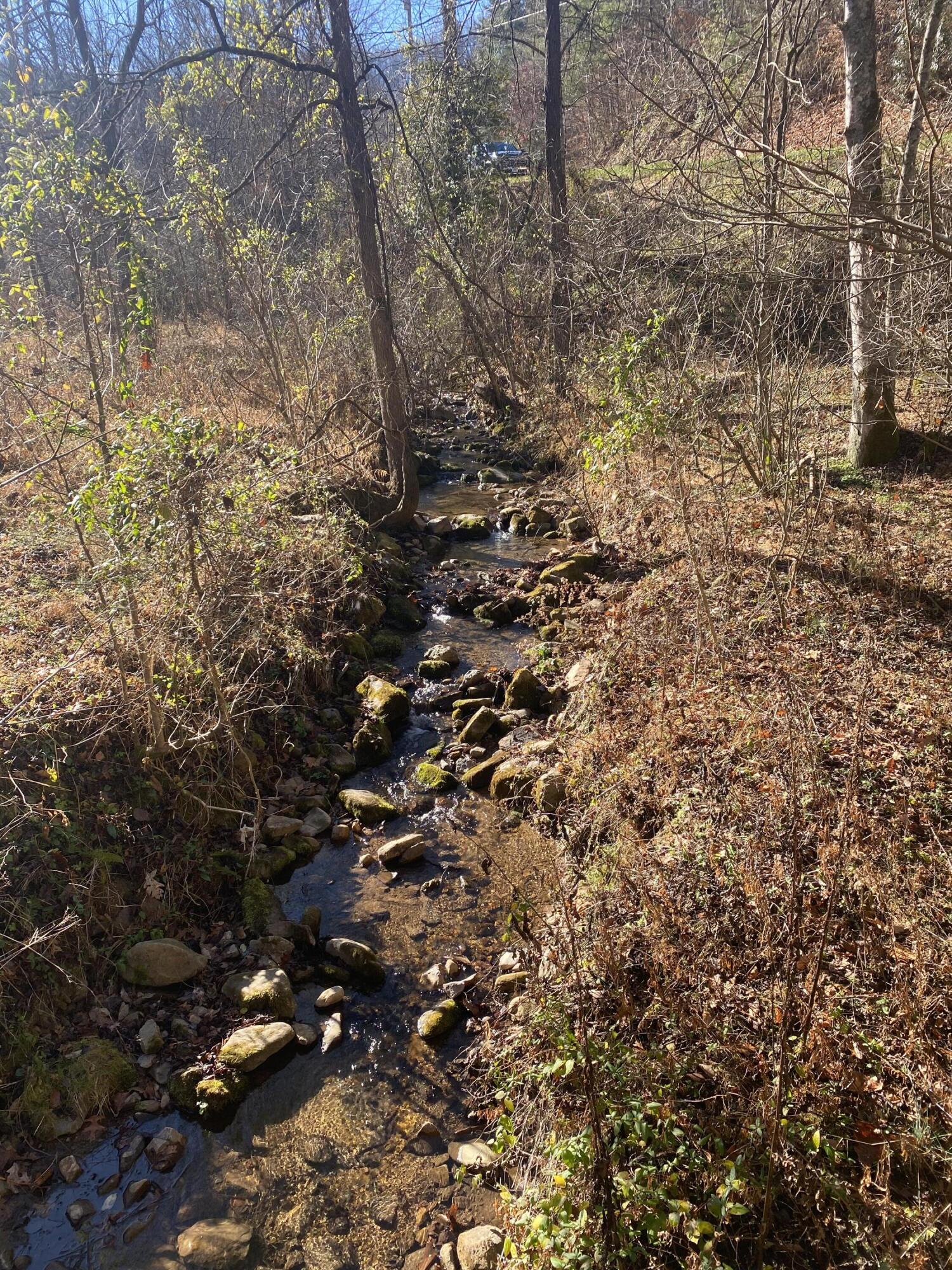 321 Rd Butler Tn 37640 Road Butler, TN 37640 - Photo 22 of 24 Photo Dec 07, 10 53 46 AM