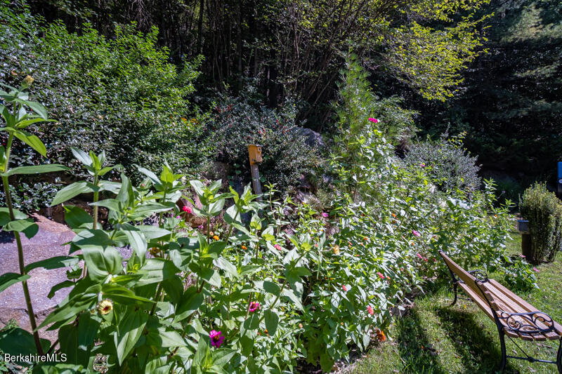 39 Pixley Road Monterey, MA 01230 - Photo 4 of 31 a backyard of a house