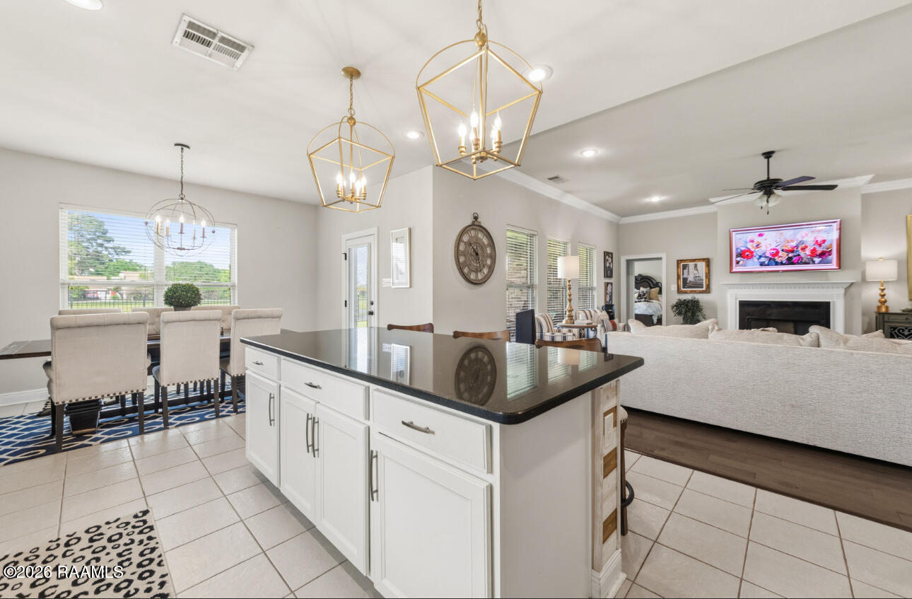 310 Cascade Water Lane Broussard, LA 70518 - Photo 8 of 32 IMG_2679