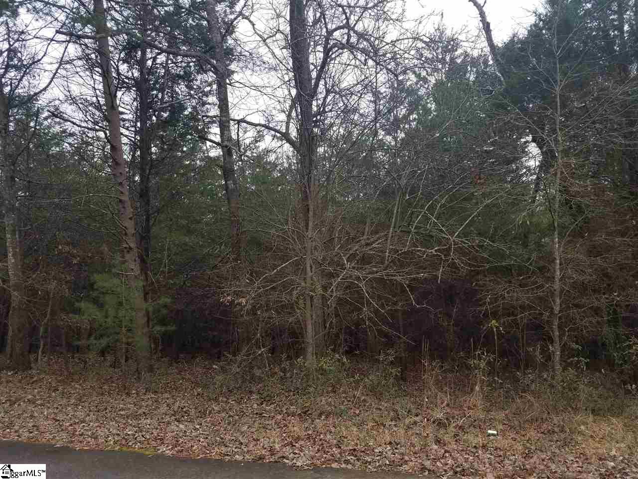 63 Peace Trail Pelzer, SC 29669 - Photo 2 of 3
