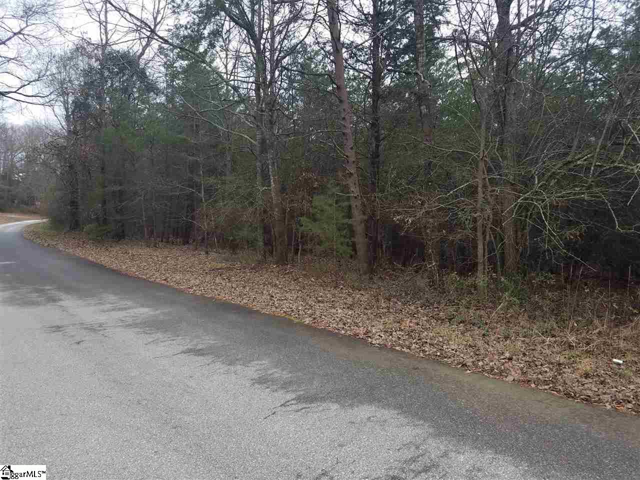 63 Peace Trail Pelzer, SC 29669 - Photo 3 of 3