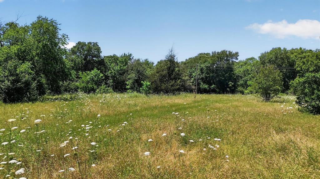 613 Main Street Quinlan, TX 75474 - Photo 12 of 16 Expansive open land featuring natural grasses and wildflowers
