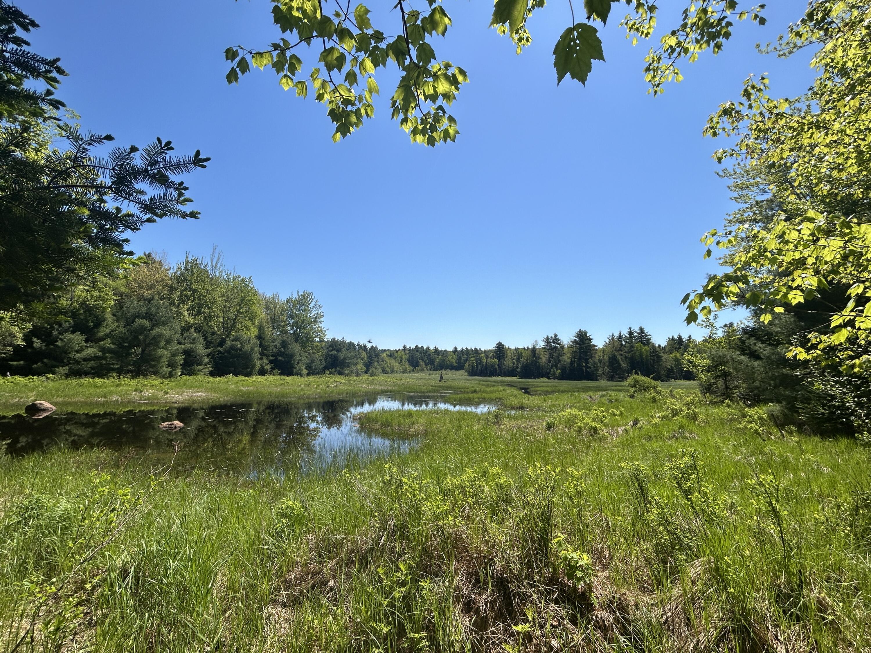 Lot B Ward Hill Road Troy, ME 04987 - Photo 19 of 24 048442A7-7A58-4F66-9C9A-FB5AA19BBEC1