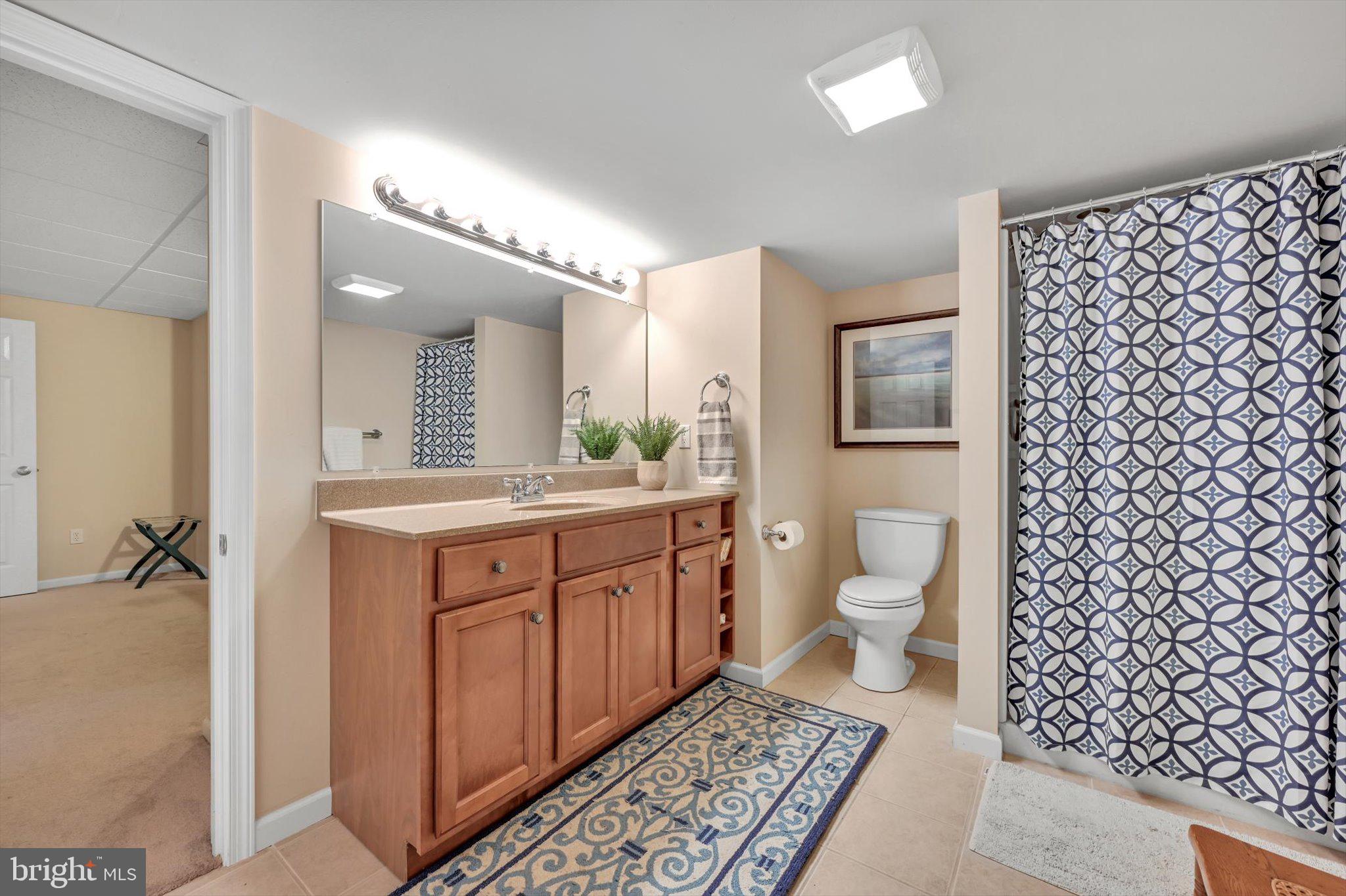 1403 Fieldstone Road Sinking Spring, PA 19608 - Photo 48 of 69