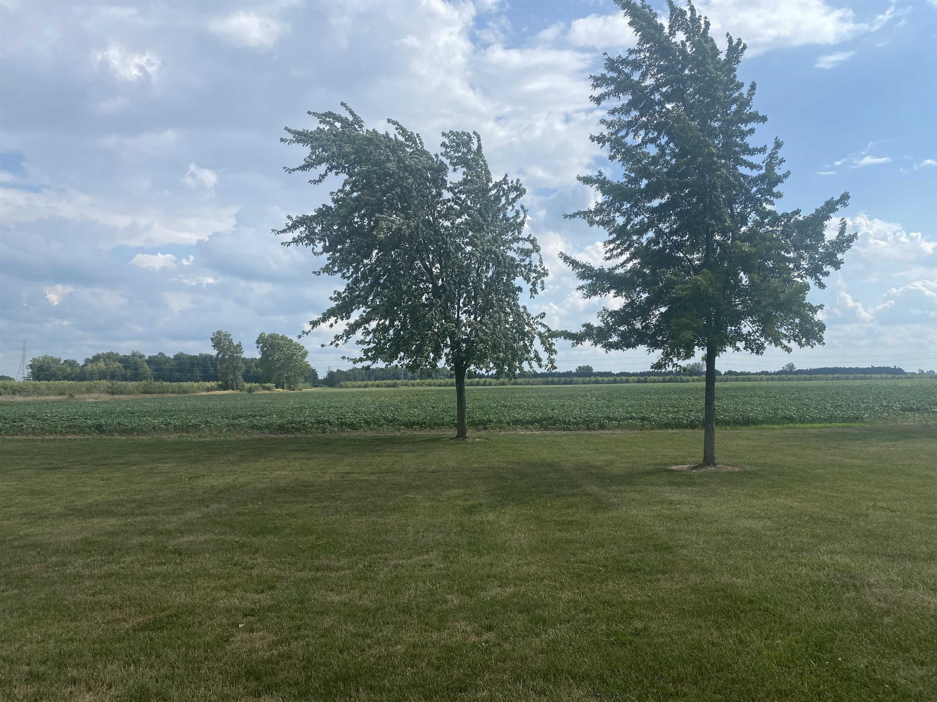 12257 Beecher Road Flushing, MI 48433 - Photo 49 of 55 50084991-48.JPG