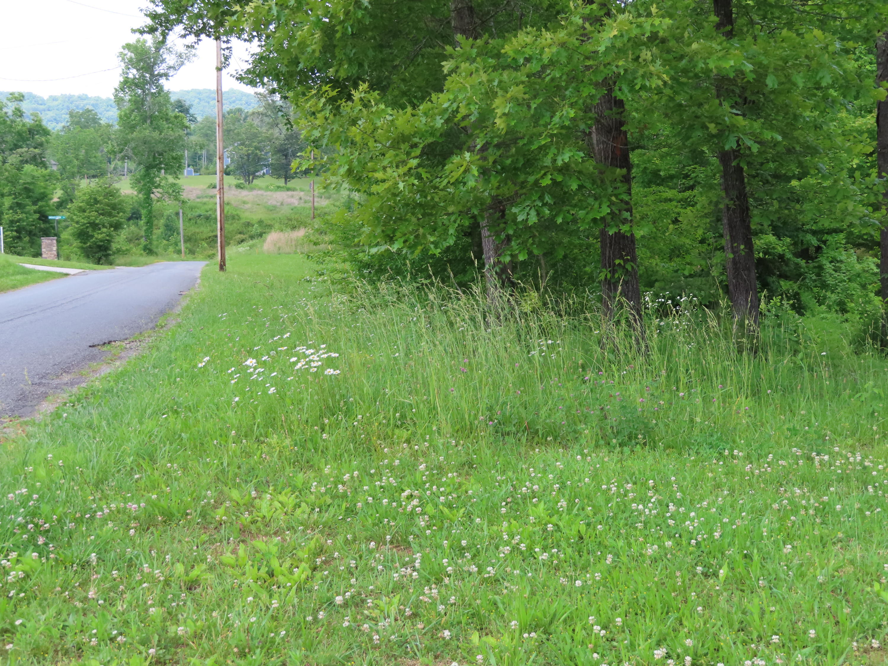 Old Leadmine Bend Road Sharps Chapel, TN 37866 - Photo 3 of 9 Lot 1