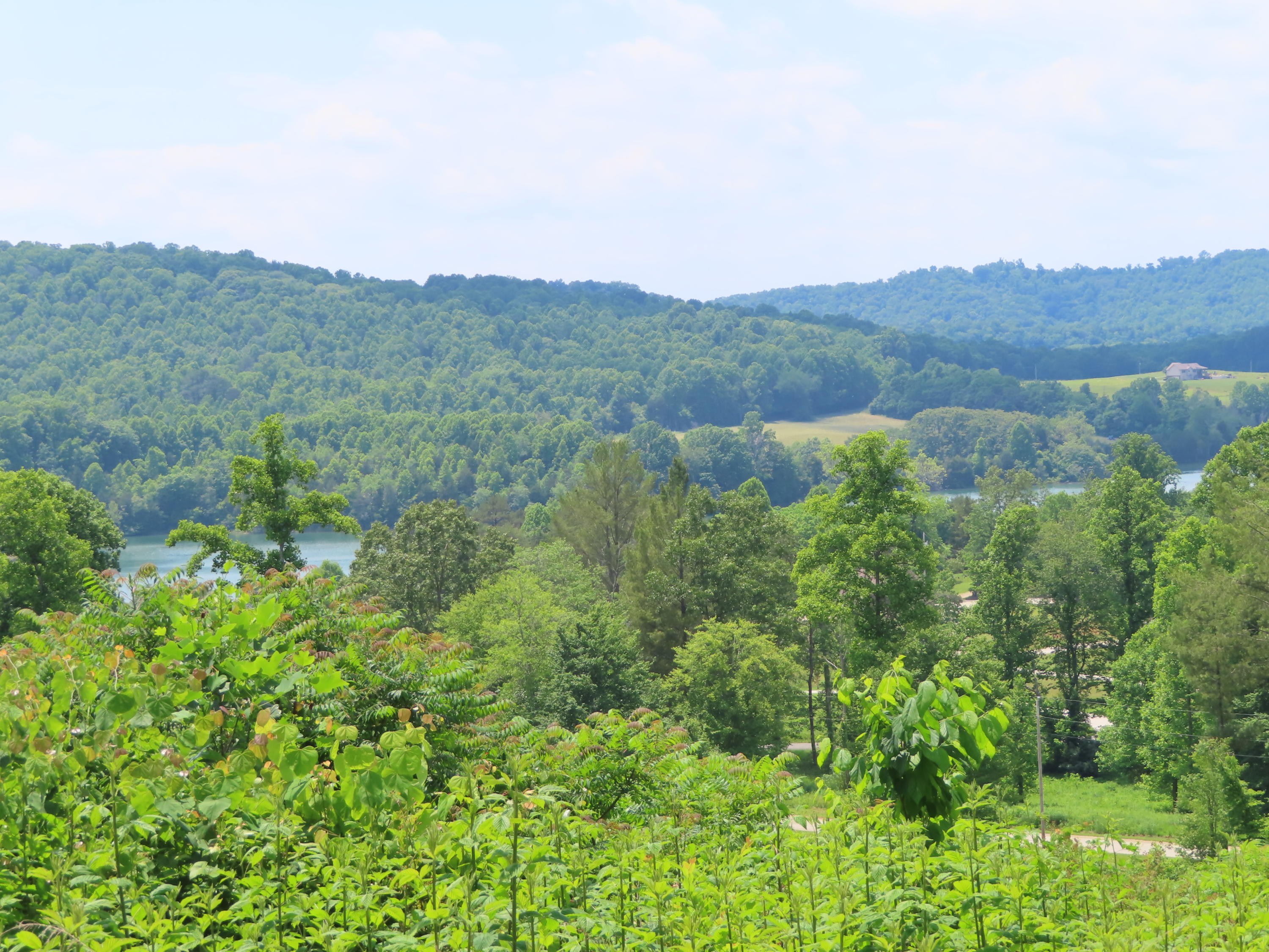Old Leadmine Bend Road Sharps Chapel, TN 37866 - Photo 5 of 9 view from above