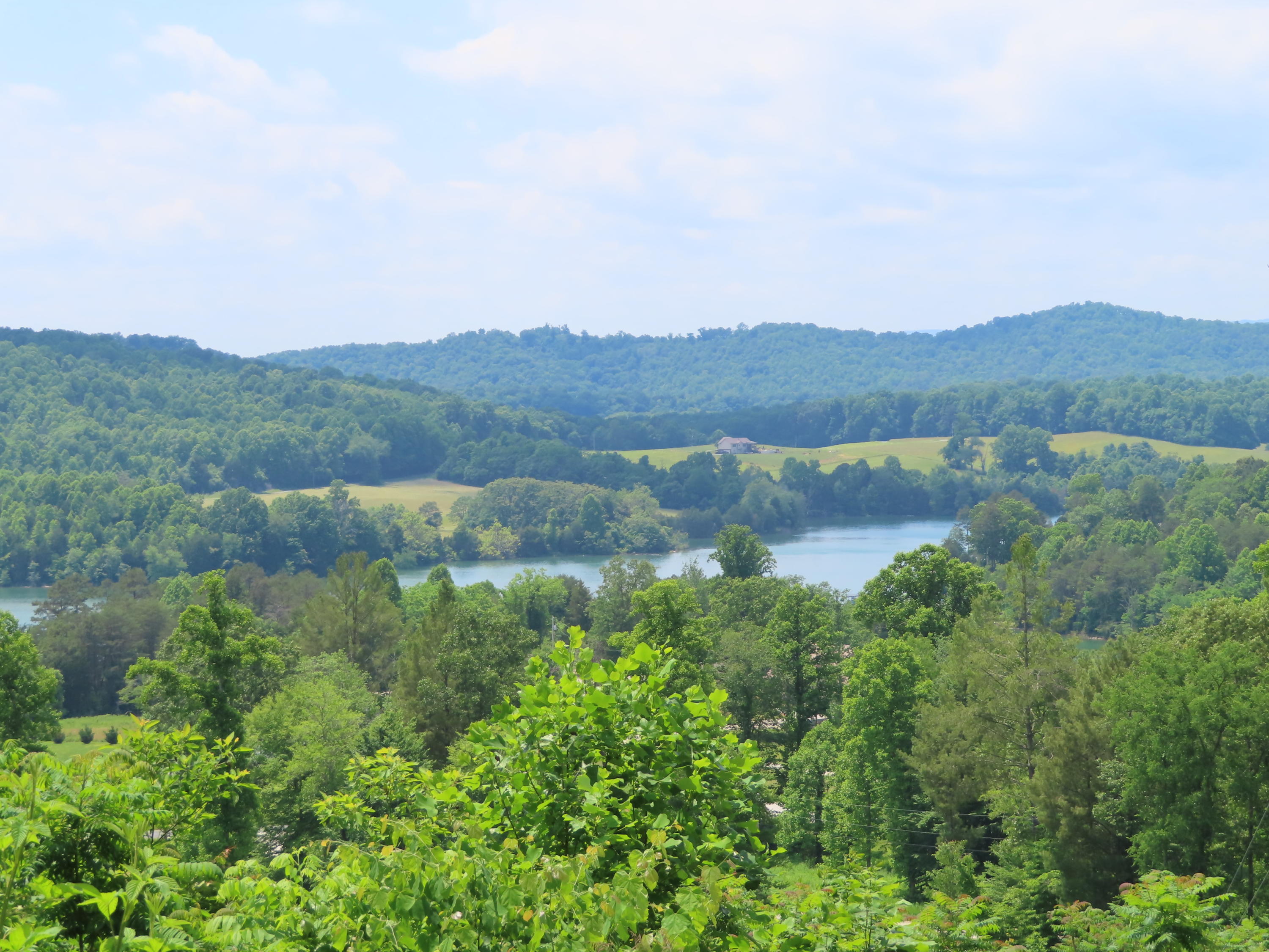 Old Leadmine Bend Road Sharps Chapel, TN 37866 - Photo 6 of 9 View from above 2
